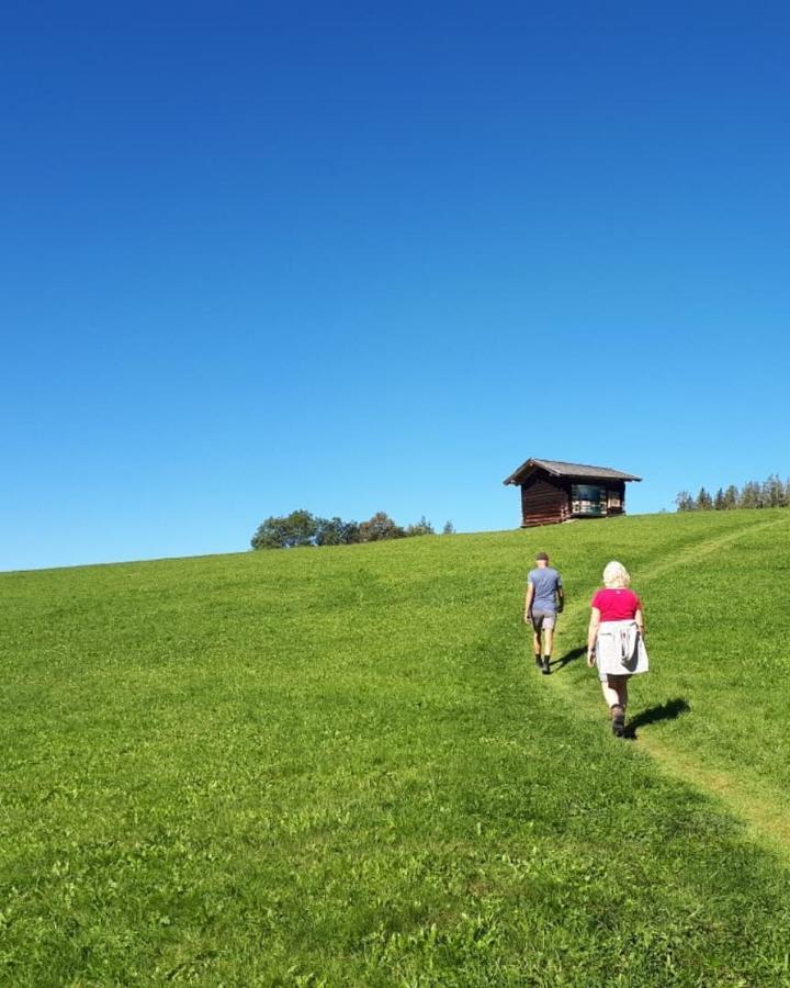 Sonnenlicht
