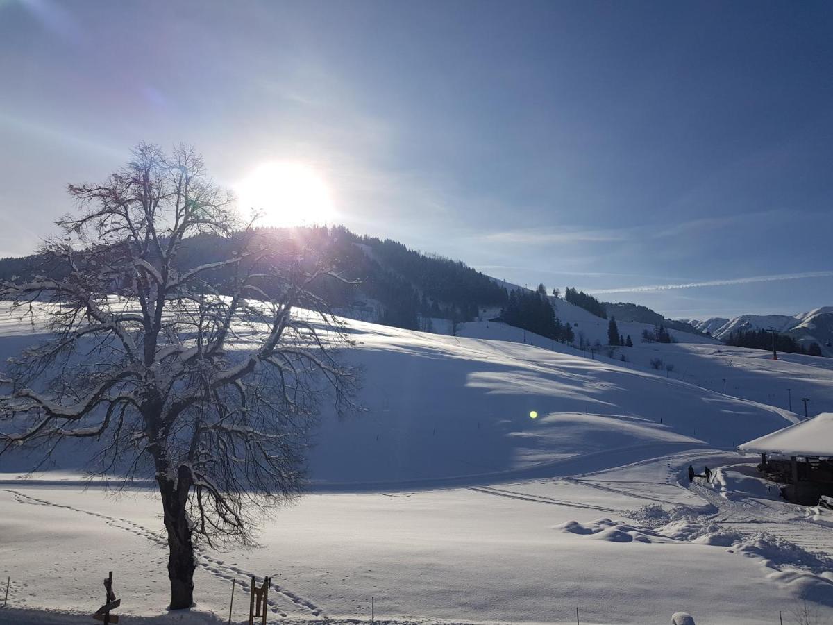 Sonnenlicht Locanda Maria Alm am Steinernen Meer